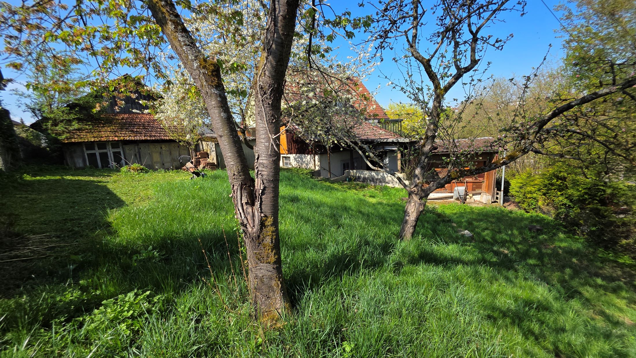 Garten